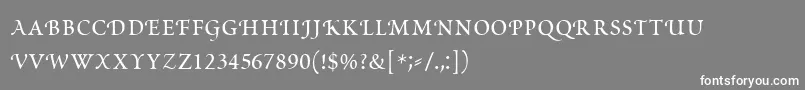 フォントPoeticaRomanSmallCapitals – 灰色の背景に白い文字