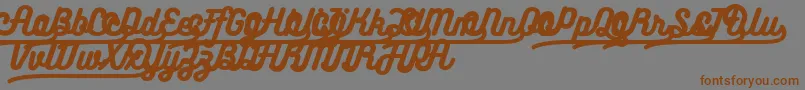 Bukhariscriptalternates Font – Brown Fonts on Gray Background
