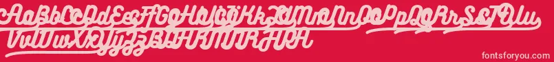 Bukhariscriptalternates Font – Pink Fonts on Red Background