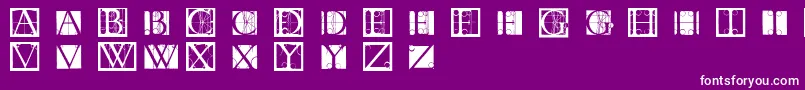 Tornielloinitials Font – White Fonts on Purple Background