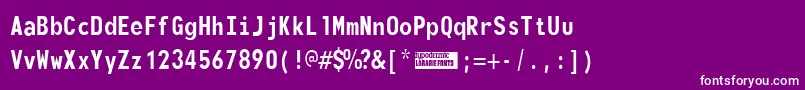 Monofont Font – White Fonts on Purple Background