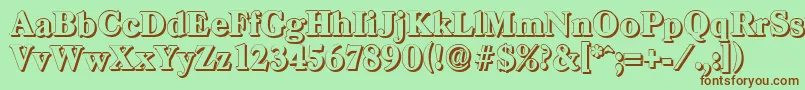 CasadshadowHeavyRegular Font – Brown Fonts on Green Background