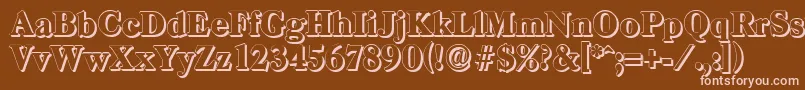 CasadshadowHeavyRegular Font – Pink Fonts on Brown Background