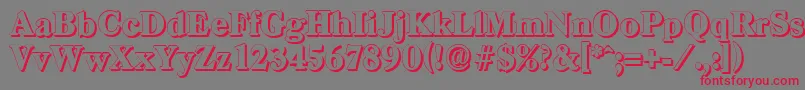 CasadshadowHeavyRegular Font – Red Fonts on Gray Background