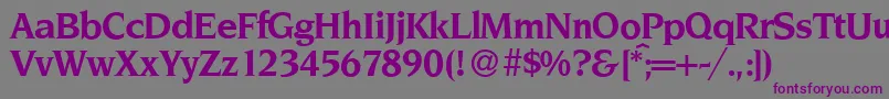 NoveltyBold Font – Purple Fonts on Gray Background