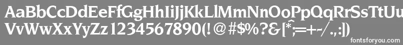 NoveltyBold Font – White Fonts on Gray Background