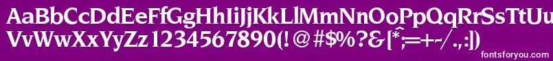 NoveltyBold Font – White Fonts on Purple Background