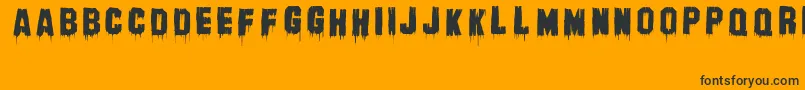 BanhartVer004Erc2008 Font – Black Fonts on Orange Background