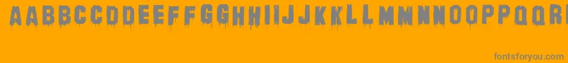 BanhartVer004Erc2008 Font – Gray Fonts on Orange Background