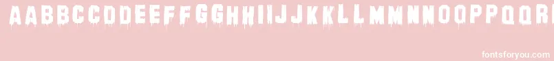 BanhartVer004Erc2008 Font – White Fonts on Pink Background