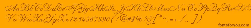 TorpedRegular Font – Brown Fonts on Orange Background