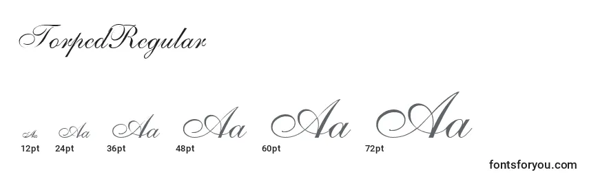 TorpedRegular Font Sizes