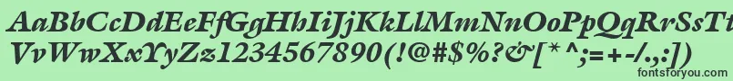 ItcGalliardLtBlackItalic Font – Black Fonts on Green Background