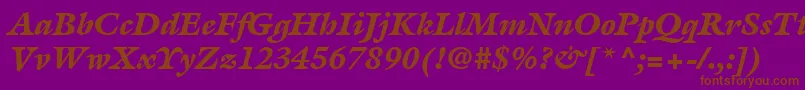 ItcGalliardLtBlackItalic Font – Brown Fonts on Purple Background