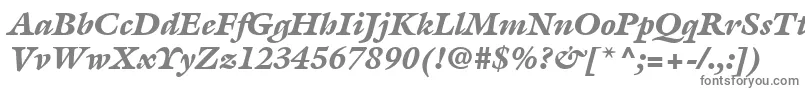 Шрифт ItcGalliardLtBlackItalic – серые шрифты на белом фоне