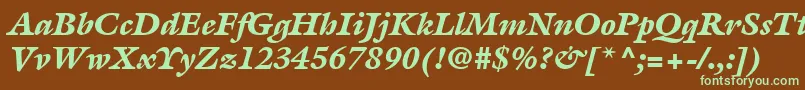 ItcGalliardLtBlackItalic Font – Green Fonts on Brown Background