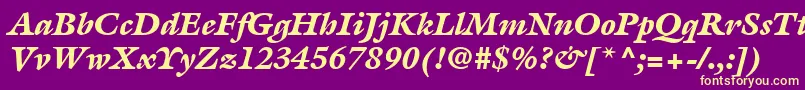 ItcGalliardLtBlackItalic Font – Yellow Fonts on Purple Background