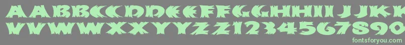 HayStackMfWide Font – Green Fonts on Gray Background