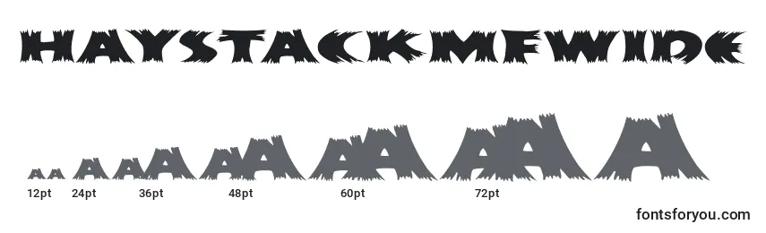 HayStackMfWide Font Sizes