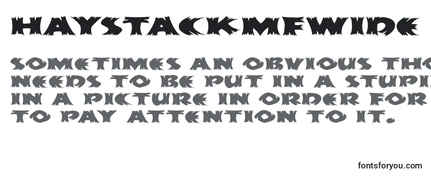 Review of the HayStackMfWide Font