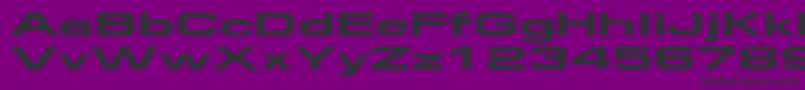 Federationwide Font – Black Fonts on Purple Background