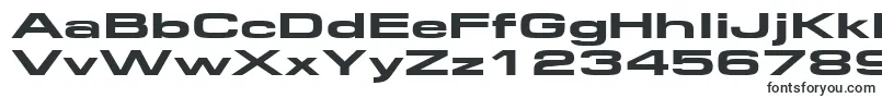 Шрифт Federationwide – шрифты для Microsoft Word