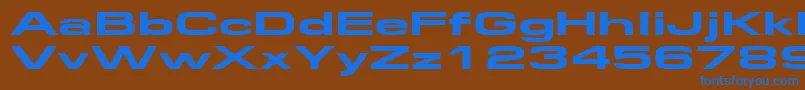 Federationwide Font – Blue Fonts on Brown Background