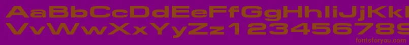 Federationwide Font – Brown Fonts on Purple Background