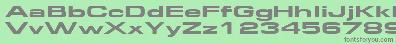 フォントFederationwide – 緑の背景に灰色の文字