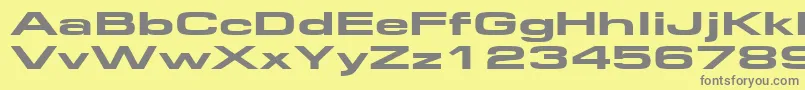 Federationwide Font – Gray Fonts on Yellow Background