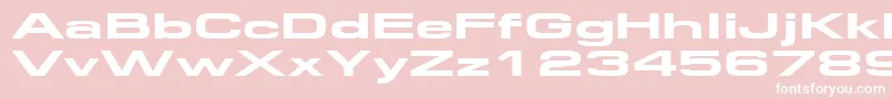 Federationwide Font – White Fonts on Pink Background