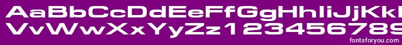 Federationwide Font – White Fonts on Purple Background