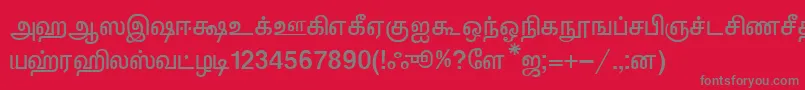 フォントKalkiNormal – 赤い背景に灰色の文字