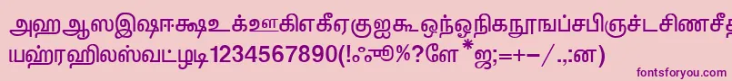 Шрифт KalkiNormal – фиолетовые шрифты на розовом фоне
