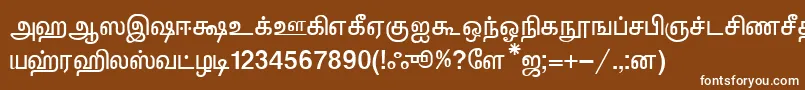 フォントKalkiNormal – 茶色の背景に白い文字