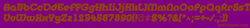 MedflyblackRegular Font – Brown Fonts on Purple Background