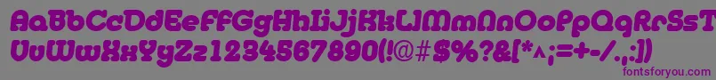 MedflyblackRegular Font – Purple Fonts on Gray Background