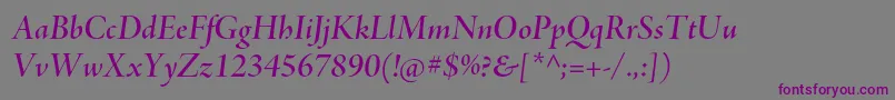 AjensonproSemibolditdisp Font – Purple Fonts on Gray Background