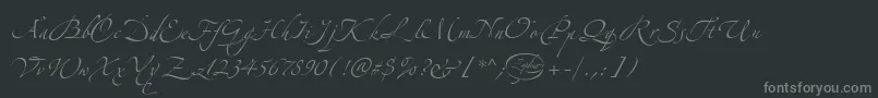 フォントLinotypezapfinoThree – 黒い背景に灰色の文字