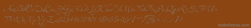 フォントLinotypezapfinoThree – 茶色の背景に灰色の文字