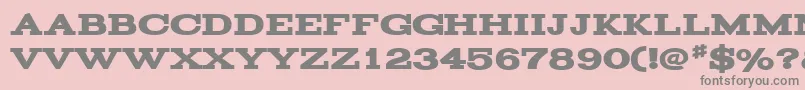 Acknowledgement Font – Gray Fonts on Pink Background