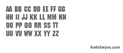 MechanicRegularDb Font