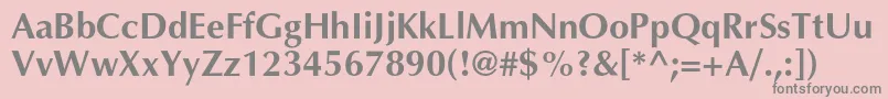 AgopuscBold Font – Gray Fonts on Pink Background