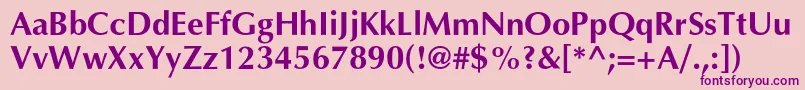 AgopuscBold Font – Purple Fonts on Pink Background