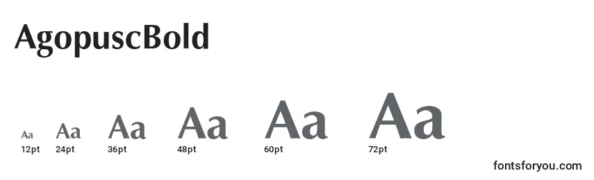 Размеры шрифта AgopuscBold