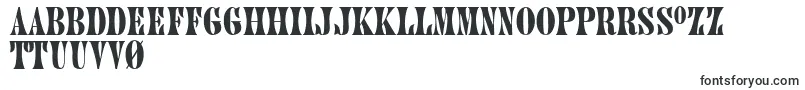 PluontoThin Font – Estonian Fonts