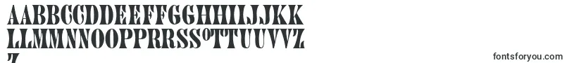 PluontoThin Font – Latvian Fonts