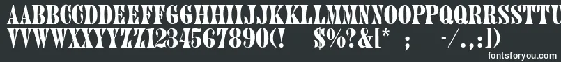 PluontoThin Font – White Fonts
