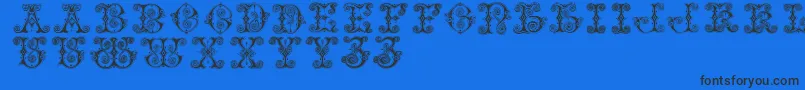 Vaticanianinitials Font – Black Fonts on Blue Background