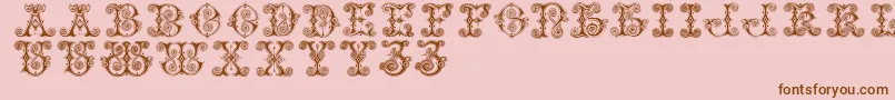 Vaticanianinitials Font – Brown Fonts on Pink Background